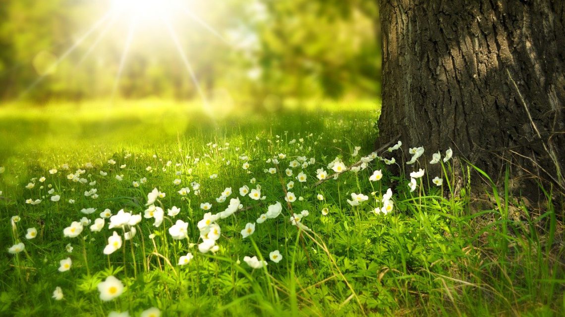 Veilig en gezond de natuur in
